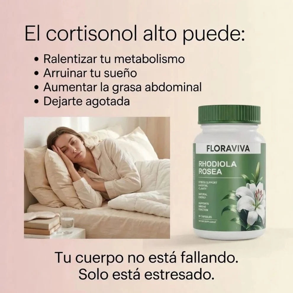 Extracto de Rhodiola Rosea